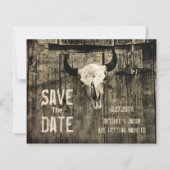 Robuuste Westerne Koe De schedel bewaart de datumb (Voorkant)