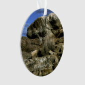 Roche de champignons (devant)