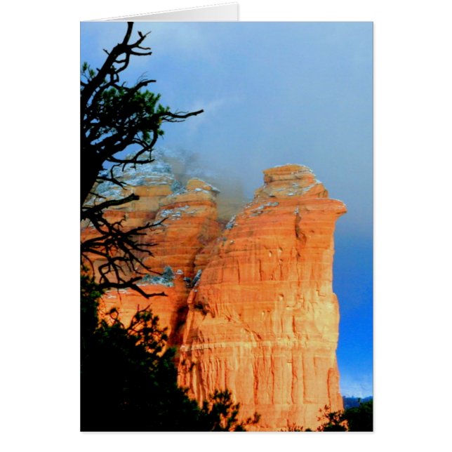 Rocher de café dans la neige (Devant)