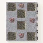 Rocher de Carnet spirale (Dos)