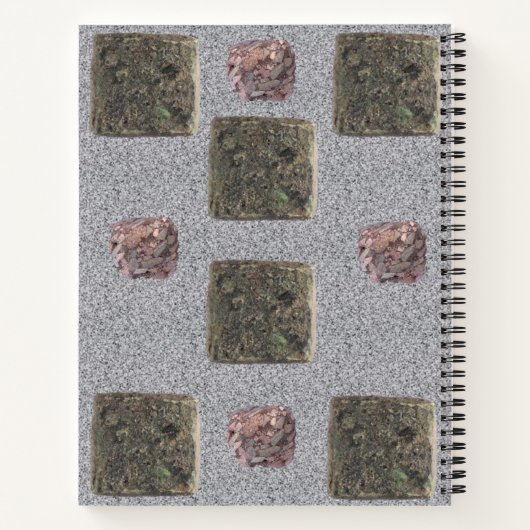 Rocher de Carnet spirale (Dos)