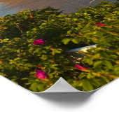 Rocher Perce (Perce Rock), Quebec, Canada. Poster (Hoek)