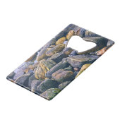 Rochers colorés (Dos Angle)