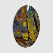 Rochers couverts de lichen (devant)