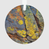 Rochers couverts de lichen (dos)