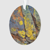Rochers couverts de lichen (devant)