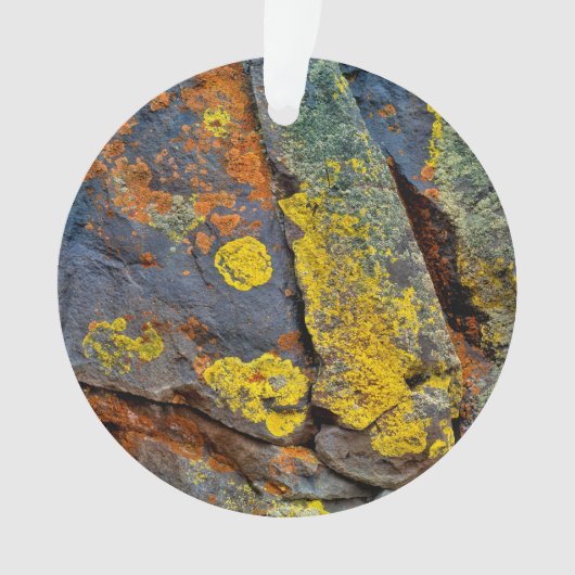 Rochers couverts de lichen (devant)