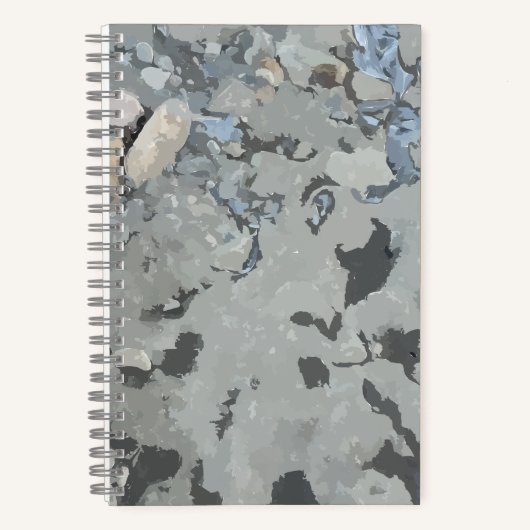 Rochers Dans Le Carnet Spiral De La Rivière (Recto)
