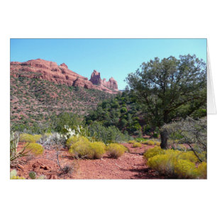 Rochers rouges et cactées II à Sedona Arizona