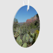 Rochers rouges et cactus I (devant)