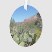 Rochers rouges et cactus I (devant)