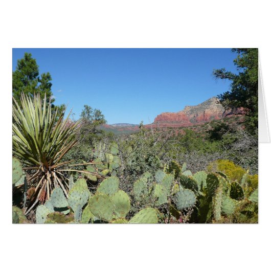 Rochers rouges et cactus I (Devant horizontal)