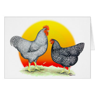 Roches de Plymouth : Lever de soleil