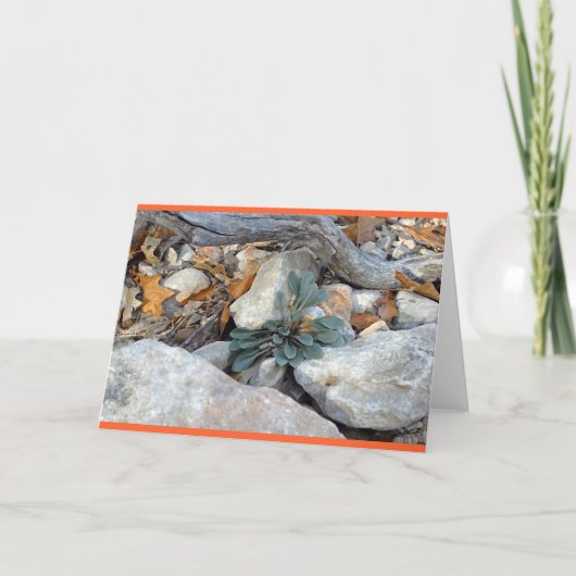 Rock Art #5 Kaart (Voorkant)