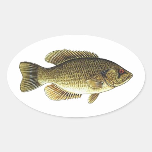 Rock Bass - Red Eye Ovale Sticker (Voorkant)