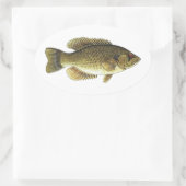 Rock Bass - Red Eye Ovale Sticker (Tas)