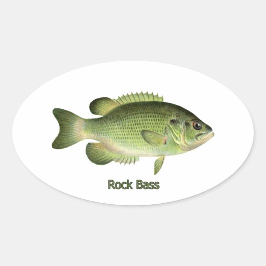 Rock Bass - Redeye Ovale Sticker (Voorkant)