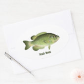 Rock Bass - Redeye Ovale Sticker (Envelop)