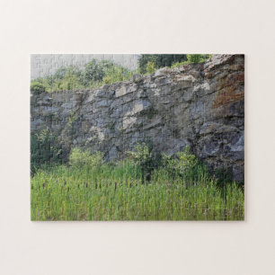 Rock Cliff Wall Cattails Pond Natuur Legpuzzel