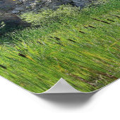 Rock Cliff Wall Cattails Pond Natuur Poster (Hoek)