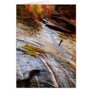 Rock Climber, Narrows, Zion NP, Carte Vierge
