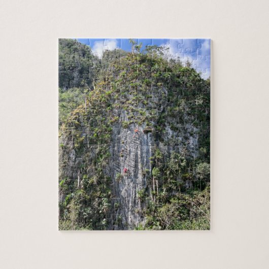 Rock Climbing Legpuzzel (Verticaal)