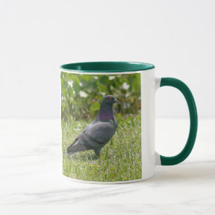 Rock Dove Mok
