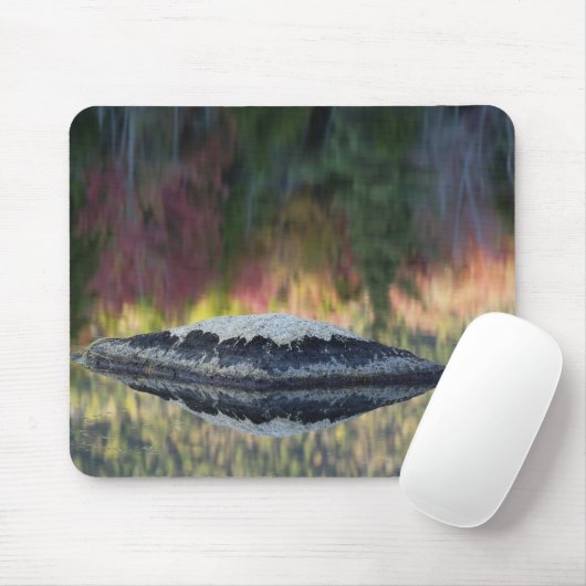 Rock- en boomreflectie, Lily Pond, White Muismat (Met muis)