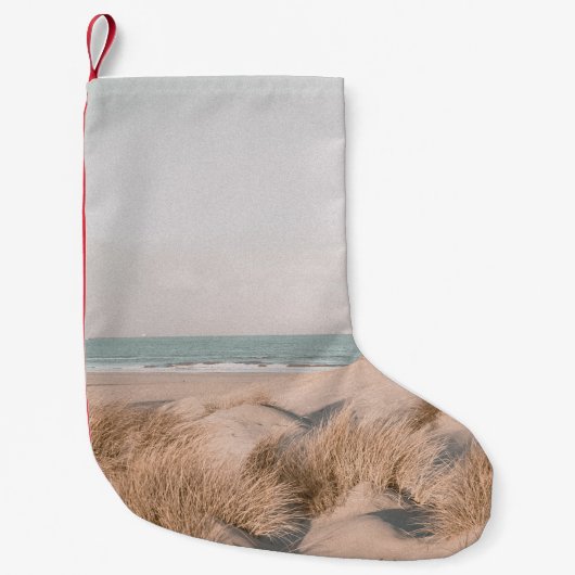 ROCK FORMATION ON BEACH KLEINE KERSTSOK (Voorkant)