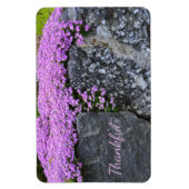Rock Garden Gratitude Magneet (Verticaal)