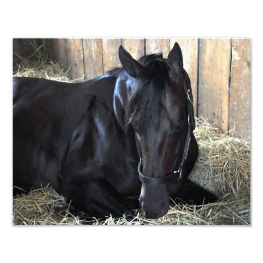 Rock Herfst door Speightstown - Renda Foto Afdruk (Voorkant)