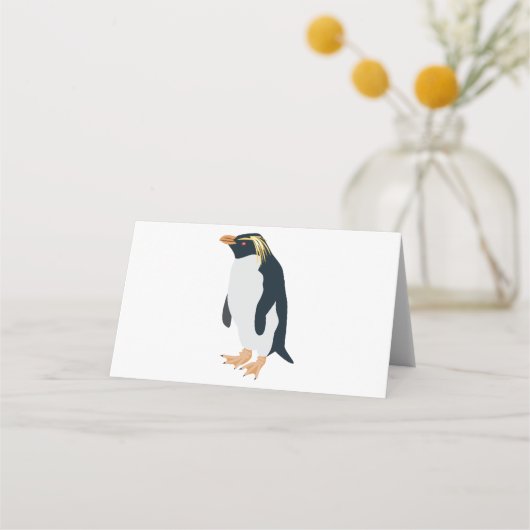 Rock Hopper Penguin (Voorkant)