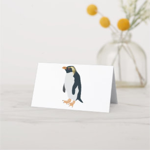 Rock Hopper Penguin