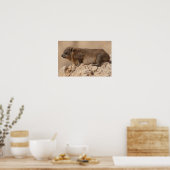 Rock Hyrax Poster (Keuken)
