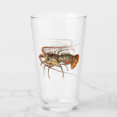 Rock Lobster - Panulirus Regis Glas (Achterkant)