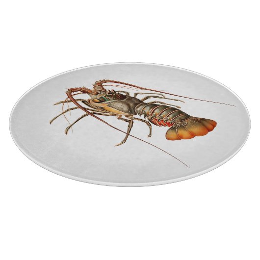 Rock Lobster - Panulirus Regis Snijplank (Hoek)