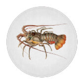 Rock Lobster - Panulirus Regis Snijplank (Voorkant)