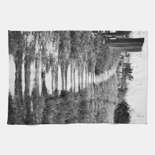 Rock Path to the hill in B/W Theedoek (Horizontaal)