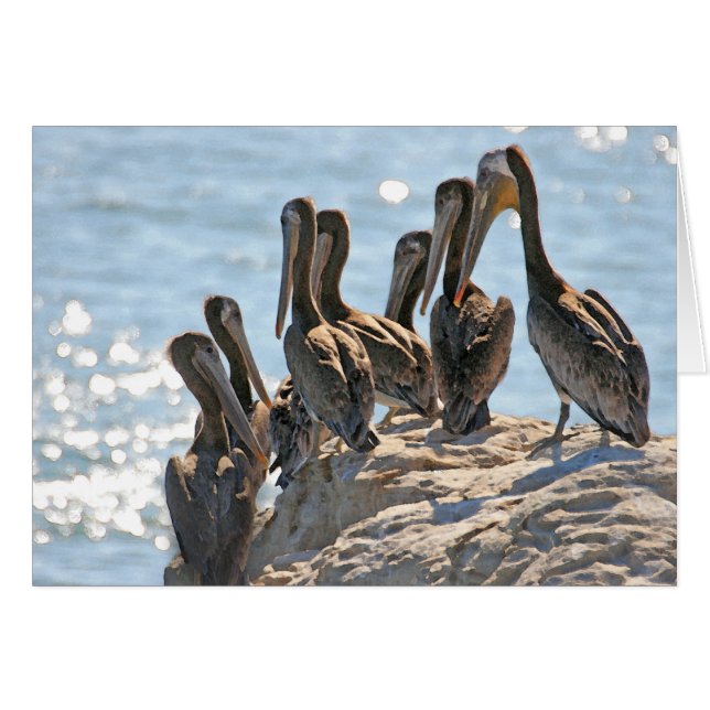 Rock pélican (Devant horizontal)