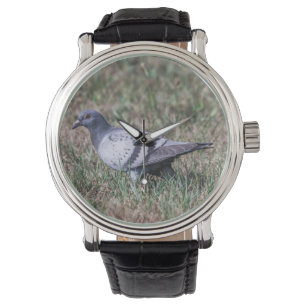 Rock Pigeon Horloge