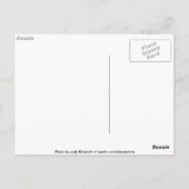 Rock Pool Natuur Collectie Briefkaart (Achterkant)