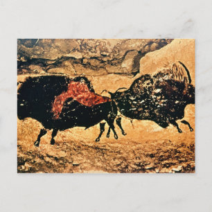 Rock-schilderij van bison, c.17000 BC Briefkaart