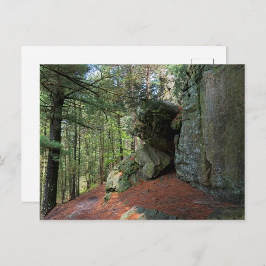 Rock Wall en Bossen bij Castle Mound Briefkaart (Voorkant / Achterkant)