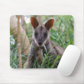 Rock Wallaby Muismat (Met muis)