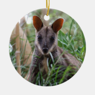 Rock Wallaby Ornament