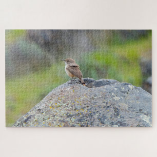 Rock Wren Legpuzzel