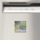 Rock Wren Magneet (Insitu (Vaatwasser))