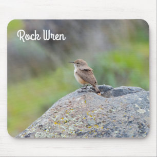 Rock Wren Muismat