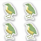 Rock Wren Sticker (Voorkant)