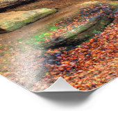 Rockbridge, Ohio Foto Afdruk (Hoek)